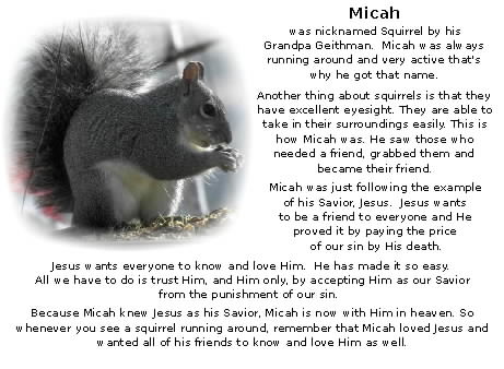 squirrel3